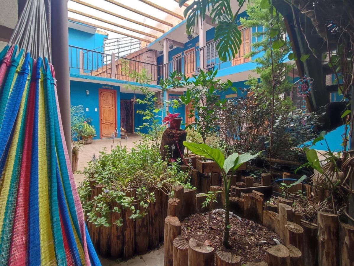 Hostal Ikal San Cristóbal de Las Casas Extérieur photo